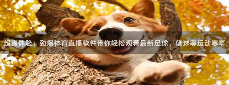 超爽体验：劲爆体育直播软件带你轻松观看最新足球、篮球等运动赛事